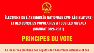 [Infographie] Principes du vote pour les élections des députés de l’Assemblée nationale et des Conseils populaires