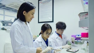 Un enseignant de l’Université des sciences et des technologies de Hanoï (USTH) guide des étudiants dans leurs recherches scientifiques. Photo : USTH 