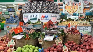 En 2024, la pomme s’est imposée comme le fruit le plus importé au Vietnam, avec un chiffre d’affaires de 275,3 millions de dollars, soit une augmentation de 18 % par rapport à 2023. Les importations de pommes américaines, quant à elles, ont bondi de 58,3 %. Photo d’illustration.
