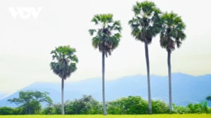 [EN IMAGES] Banh bo thot not d’An Giang : l’or gourmand de la cuisine khmère