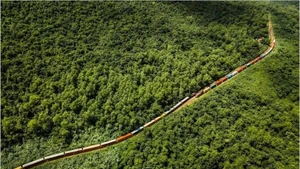 Photo: D.X/thanhnien.vn 