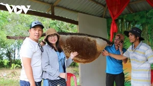Le miel de la forêt d’U Minh Ha figure parmi les 100 cadeaux les plus prisés du Vietnam.