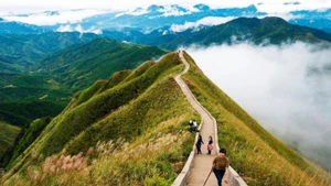 Printemps au Nord du Vietnam : trois itinéraires de trekking et de bien-être pour voyageurs actifs