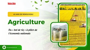 L’agriculture vietnamienne après 40 ans de Renouveau : du « bol de riz » à pilier de l’économie nationale