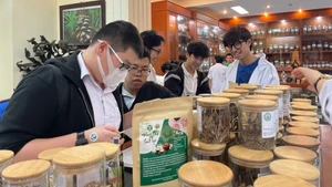 Des étudiants visitent le Musée vietnamien des matériaux médicinaux. Photo : NDEL.