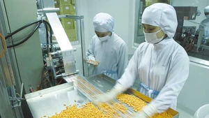 Le secteur de la santé et de la pharmacie suscite un vif intérêt de la part des investisseurs étrangers. Ci-dessus : production pharmaceutique dans les installations de Traphaco.