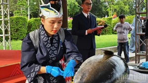 Le thon de Gia Lai conquiert progressivement les marchés mondiaux.