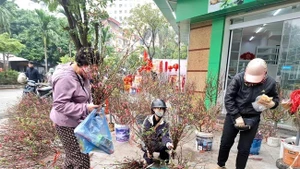 Les rues animées par l’effervescence des achats du Têt