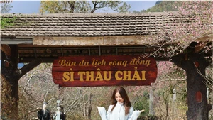 Si Thau Chai, le « village de conte de fées » suspendu entre ciel et montagnes au nord-ouest du Vietnam