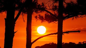 Lorsque la nuit tombe, Mang Den change de visage.