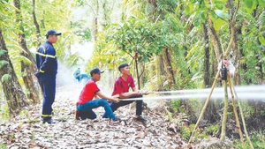 La répétition régulière de scénarios simulés permet aux forces chargées de la gestion et de la protection des forêts à Ca Mau de renforcer leurs capacités d’intervention en conditions réelles.