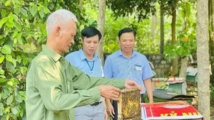 Les personnes âgées participent au développement de l’économie familiale.