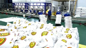 Transformation du riz destiné à l’exportation à l’usine de la société agricole high-tech Trung An, à Can Tho. 