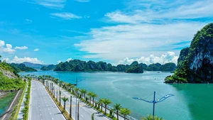La route côtière Ha Long – Cam Pha, dans la province de Quang Ninh, considérée comme la plus belle du Vietnam.