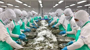 De nombreuses entreprises singapouriennes considèrent désormais le Vietnam comme une source d’approvisionnement fiable de produits aquatiques. Photo : VGP. 