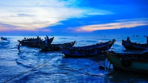 Le marché aux poissons de Phuoc Hai, une symphonie maritime au cœur d’un village de pêcheurs