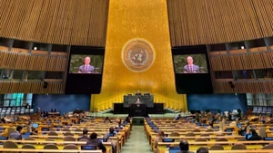 La Session extraordinaire d'urgence de l’Assemblée générale des Nations Unies. Photo : VNA. 