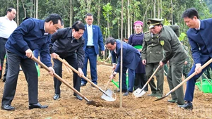[EN IMAGES] Le Président vietnamien assiste à la cérémonie de lancement de la « Fête de plantation d’arbres en mémoire du Président Hô Chi Minh »