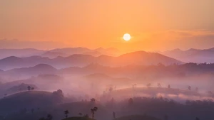 Paysage féérique sur les collines de thé en « bol renversé » de Phu Tho