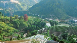 Espaces paisibles et préservés de Ban Liên. 