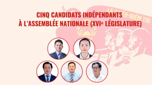 [Infographie] Cinq candidats indépendants à l’Assemblée nationale (XVIᵉ législature) 