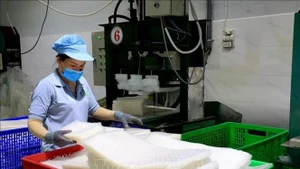 Production de galettes de riz, spécialité de Tây Ninh, à la société à responsabilité limitée Tân Nhiên (hameau de Truong Phu, commune de Truong Dông, ancien chef-lieu de la ville de Hoa Thành). Photo d’illustration : VNA