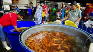 L’effervescence du plus grand marché aux carpes de Hô Chi Minh-Ville