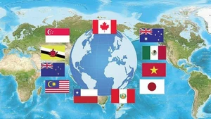 Les exportations malaisiennes vers les pays membres de l’Accord de partenariat transpacifique global et progressiste (CPTPP) ont progressé de 4,7 %. 