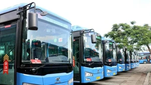 Des bus électriques à Ho Chi Minh-Ville. Photo: VNA 