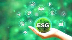 L'application des critères ESG (environnementaux, sociaux et de gouvernance) dans la production agricole s'impose aujourd'hui comme une tendance majeure. Photo d'illustration