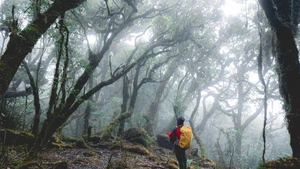 Sa Mu est accessible aux débutants en escalade et en trekking. 