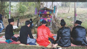 La fête "Xên dông" commence par un rituel du culte de la forêt organisé sous un banian centenaire. Photo: VNA.
