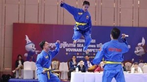 Des pratiquants de Vovinam. Photo : VNA
