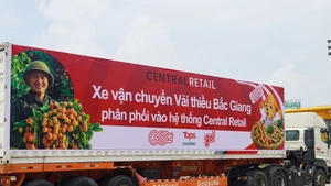 Un camion chargé de litchis de Luc Ngan (Bac Giang) prêt pour la distribution. Photo : Central Retail.