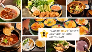 À la découverte des huit plats de mam célèbres des trois régions du Vietnam