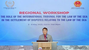 Le vice-ministre des Affaires étrangères Nguyên Minh Vu s’exprime lors de l’atelier. Photo : Baoquocte.