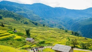 Le Vietnam parmi les 5 destinations asiatiques préférées des touristes européens à l’été 2025