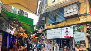 Les touristes sont impressionnés par la cuisine de rue vietnamienne. Photo : laodong.vn