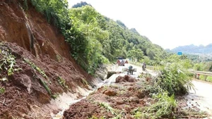 De fortes pluies ont provoqué des glissements de terrain, causant des problèmes de sécurité routière sur la section de la route nationale 4D bordant la ville de Lai Chau et le district de Phong Tho. Photo : VNA.