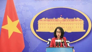 La porte-parole du ministère des Affaires étrangères Pham Thu Hang. Photo : VNA.