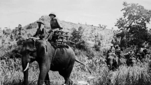 [Photos] La campagne de Tây Nguyên (4 mars – 24 mars 1975) 