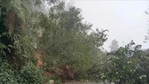 Le gouvernement vietnamien mobilisé face aux risques de catastrophes naturelles dans le Nord. Photo : VNA. 