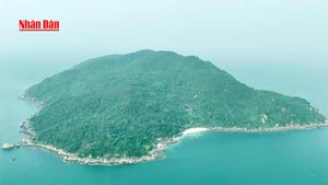 Da Nang : Son Cha, une île mystérieuse