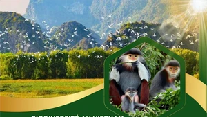 Renforcer l'efficacité de la conservation de la biodiversité