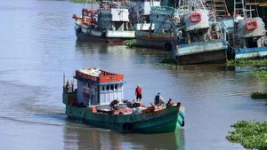 Ben Tre durcit le ton à l'encontre de la pêche INN. Photo : VNA.