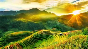Mu Cang Chai. Photos: VNA