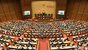 Les députés travaillent en séance plénière à l’Assemblée nationale. Photo : Bui Giang. 