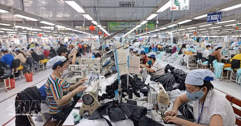 La Société générale par actions de confection Viet Tien, dans la province de Khanh Hoa, investit dans des équipements modernes afin d'accroître la production et d'améliorer la qualité de ses produits. Photo: VNA 