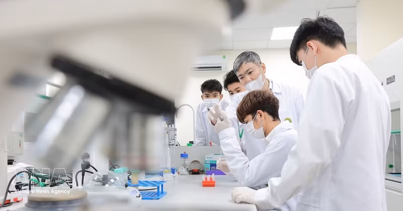 Des professeurs de l'Académie vietnamienne d'agriculture encadrent directement les étudiants dans l'apprentissage des techniques analytiques en laboratoire. Photo : VNA. 