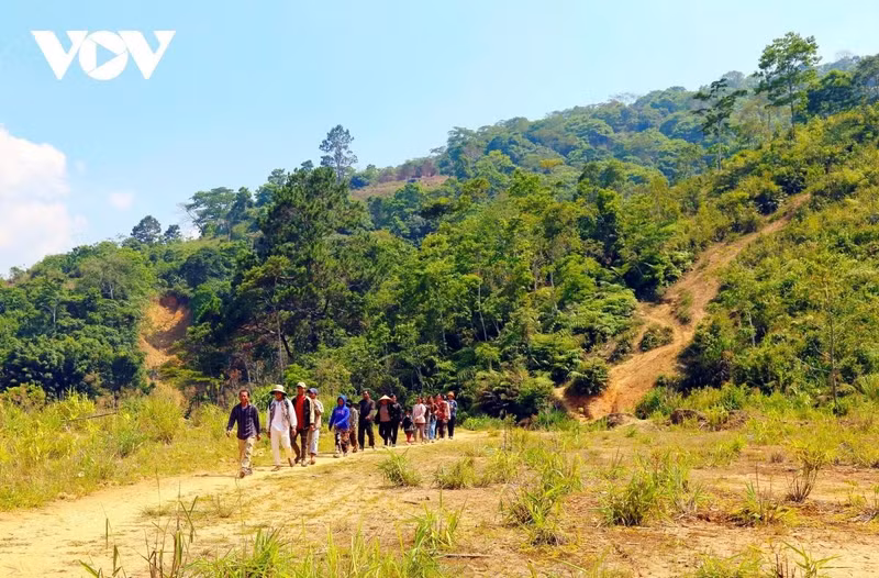 Des habitants des villages frontaliers du district de Kaleum (Laos) se rendent à pied au village d’A Tu 1, dans la commune de Hung Son, pour participer à la fête de Bunpimay.